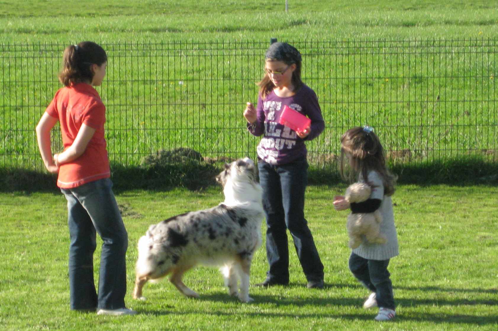 coeur d'artichien chayna et les enfants coeur d'artichien chayna et les enfants